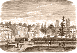 Le Jardin des plantes, à Montpellier, au XIXe siècle