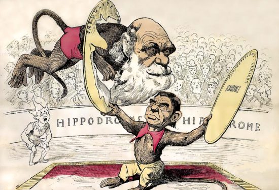 L'homme descend du singe. Caricature d'André Gill parue dans La Lune du 18 août 1878 : Sous les traits d'un singe, Émile Littré encourage Charles Darwin à sauter à travers les cerceaux de l'ignorance et des superstitions
