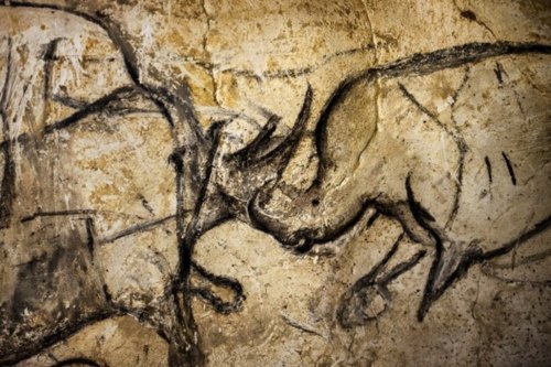 Figures animales peintes sur les murs de la grotte Chauvet