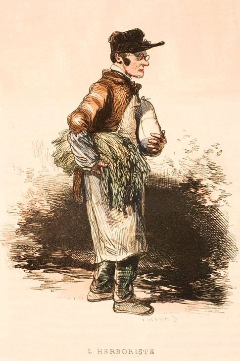 L'herboriste. Gravure (coloriée) de Paul Gavarni, parue dans Les Français peints par eux-mêmes. Encyclopédie morale du dix-neuvième siècle (1840)