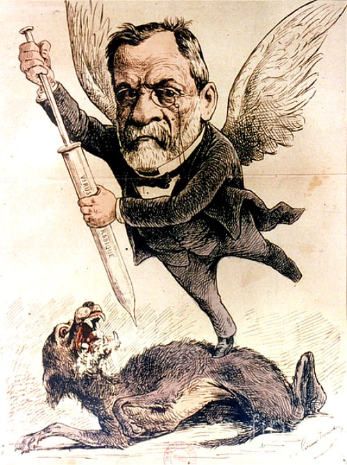 L'ange de l'inoculation (M. Pasteur). Caricature parue dans « Don Quichotte » du 18 mars 1886