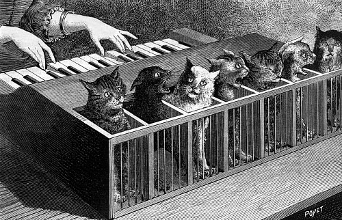 Piano à chats