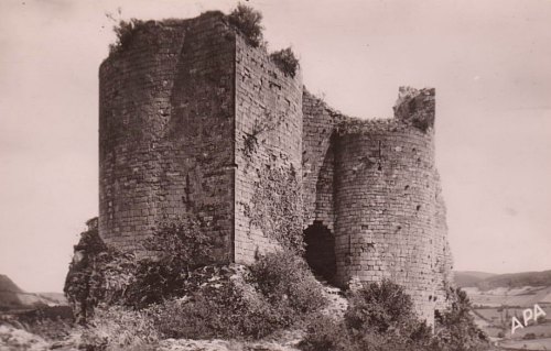 Ruines du château de Penne (Tarn)