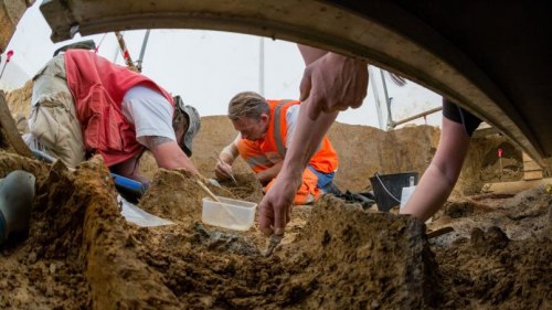 Les archéologues dégagent les ossements d'une des deux petits chevaux retrouvés dans l'ancienne sépulture gauloise
