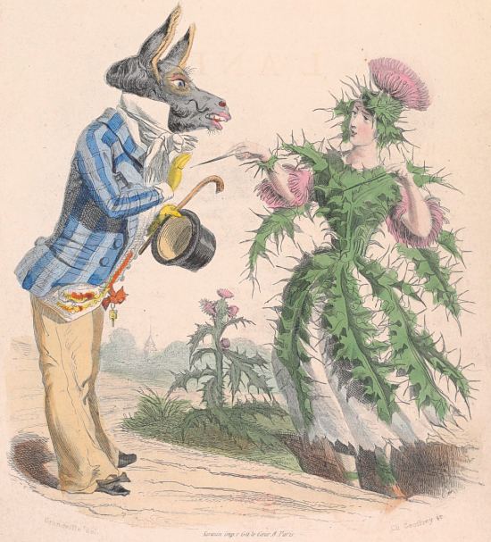 Gravure de Grandville extraite de Les fleurs animées (Tome 1), paru en 1867