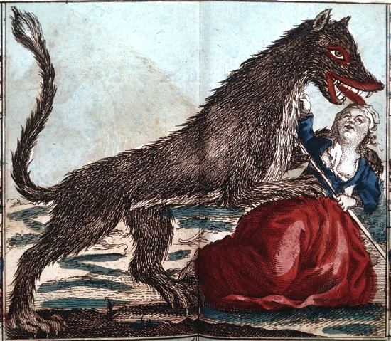 Bête du Gévaudan : représentation de la bête féroce. Illustration de 1765 parue dans le Recueil Magné de Marolles