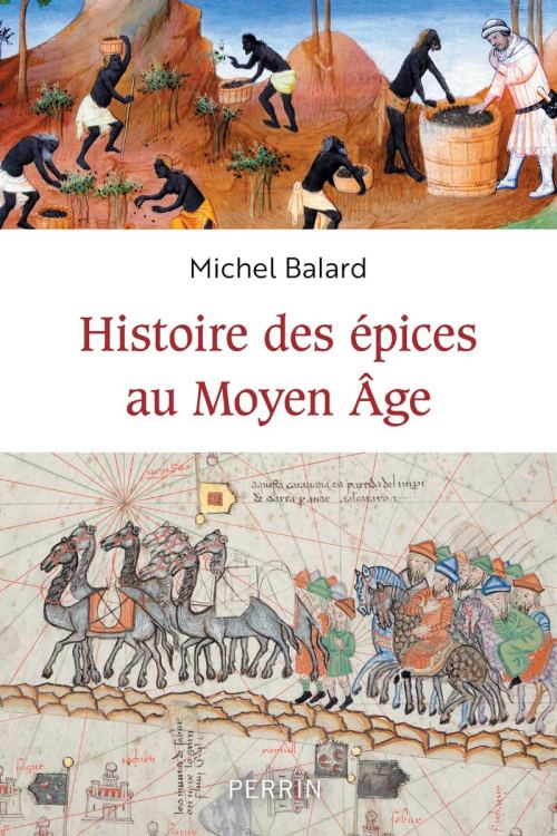 Histoire des épices au Moyen Âge, par Michel Balard. Éditions Perrin