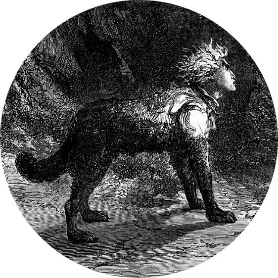 Transformation en loup-garou. Détail d'une gravure d'Édouard Riou (1833-1900) extraite d'une édition de l'ouvrage d'Alexandre Dumas (1802-1870) intitulé Le Meneur de loups