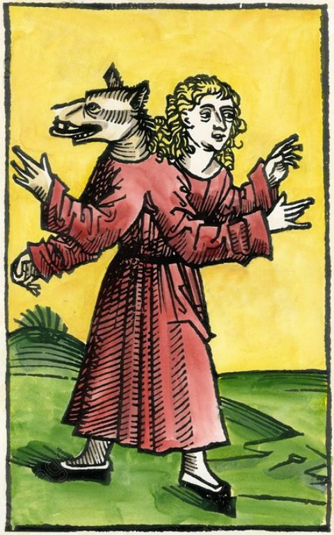 Loup-garou. Gravure (colorisée) extraite de La Chronique de Nuremberg, par Hartmann Schedel (1493)
