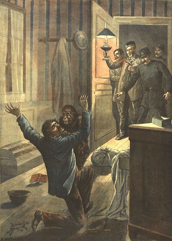 Cambrioleur arrêté par un orang-outang. Illustration parue dans Le Petit Méridional du 19 juin 1898