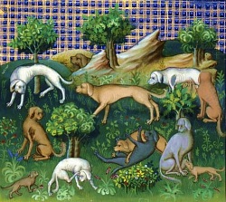 Chiens de chasse, d'apres le Livre de chasse de Ph&eacute;bus
