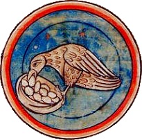Perdrix deposant ou volant des oeufs