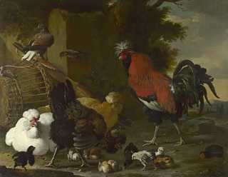 Coq, poules et poussins. Peinture de Melchior de Hondecoeter (XVIIe si�cle)