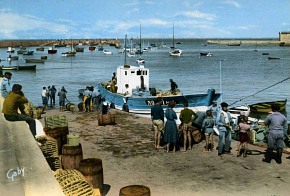 Port de L'Herbaudi�re