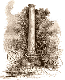 Colonne elevee a la memoire de Daubenton dans le Jardin des Plantes a Paris