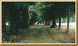 L'allée cavalière qui ceinture l'esplanade devant la façade Nord (arrière du Château). Bordée d'arbres, elle permet de se promener au frais en été