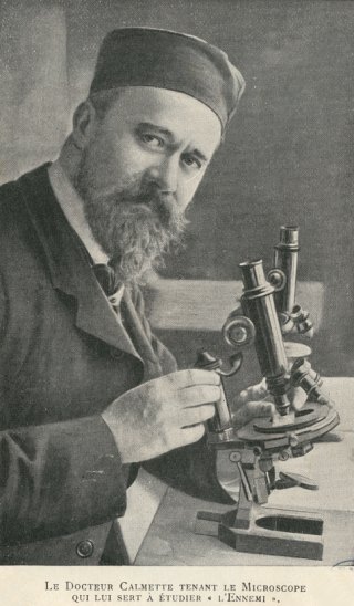 Albert Calmette