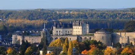 Château royal d'Amboise