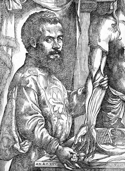 André Vésale. Portrait publié en 1543