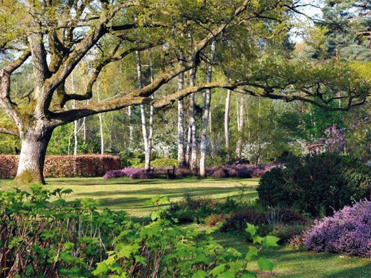 Arboretum des Grandes Bruyères, au cœur de la forêt d'Orléans