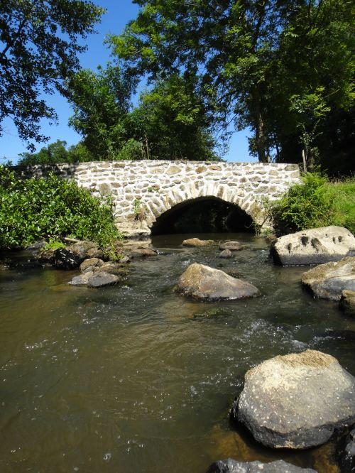 La rivière Aron à Buchaud (Mayenne)