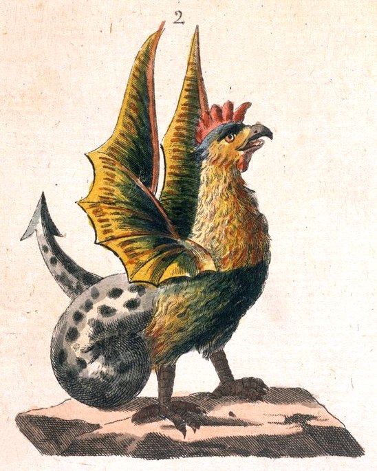 Le basilic, né d'un œuf de coq couvé par un crapaud. Lithographie extraite de Livre d'images pour les enfants (1792) de Friedrich Justin Bertuch