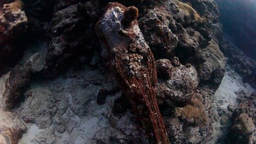 Des plongeurs croient avoir découvert au large de Tonga l'épave du Port-au-Prince