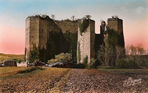 Ruines du château de Montfort