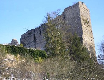 Château de Montfort (Côte-d'Or)