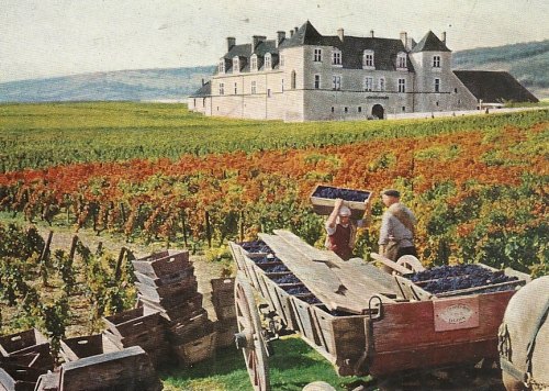 Le Clos de Vougeot et son château