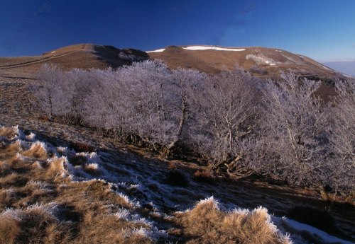 Col de Roncevaux