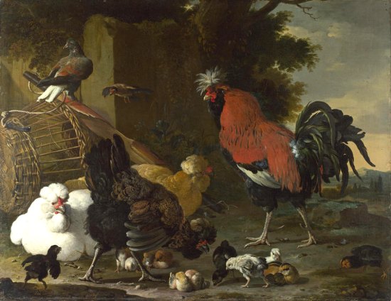 Coq, poules et poussins. Peinture de Melchior de Hondecoeter (XVIIe siècle)