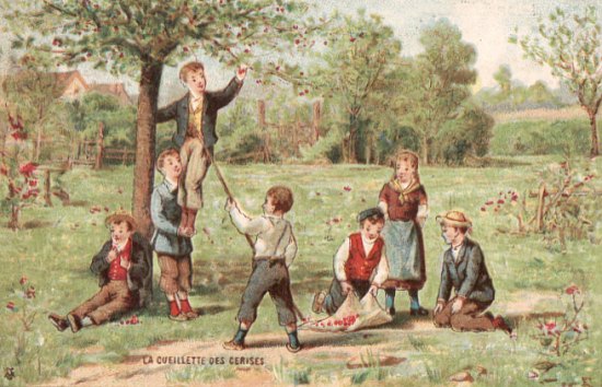 La cueillette des cerises La cueillette des cerises