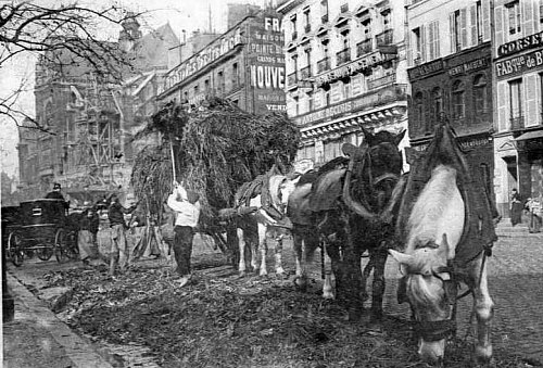 Enlèvement des détritus aux Halles