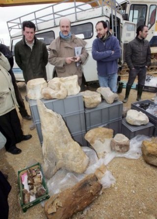 Près de 2 000 ossements ont été exhumés