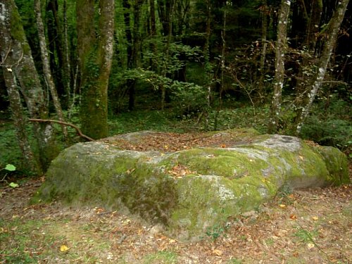 En forêt de Féternes