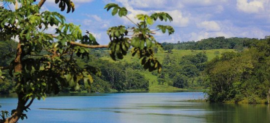 Le fleuve Araguari, frontière contestée entre le Brésil et la Guyane française