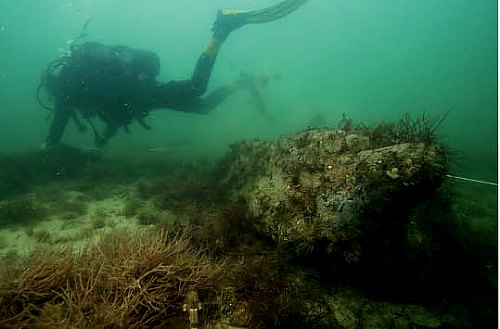 Morbihan. Une forêt de menhirs submergés. Photo Thomas Abiven.