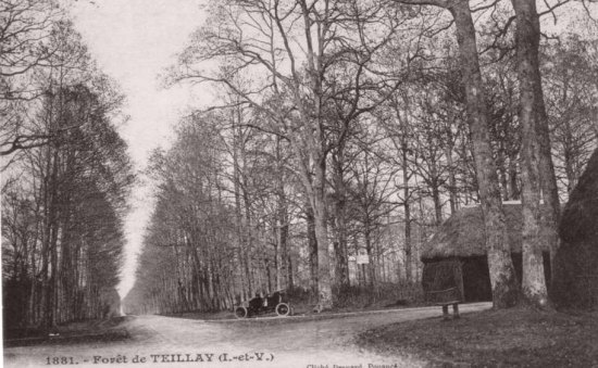 Forêt de Teillay