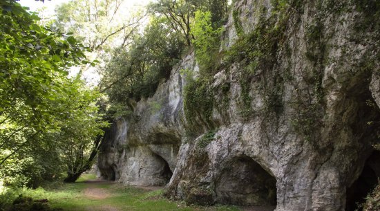 Grottes de Roche-Courbon à Saint-Porchaire (Charente-Maritime)