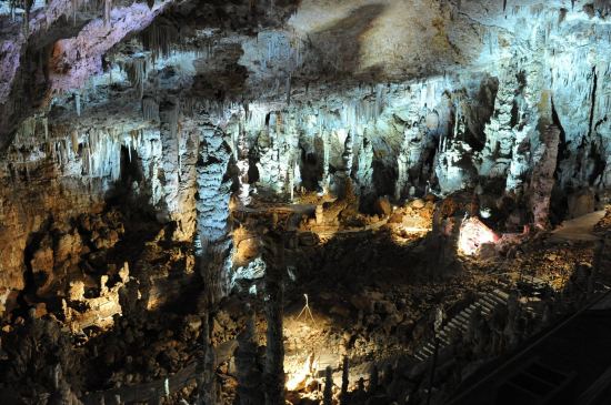 Grotte de la Salamandre (Gard)