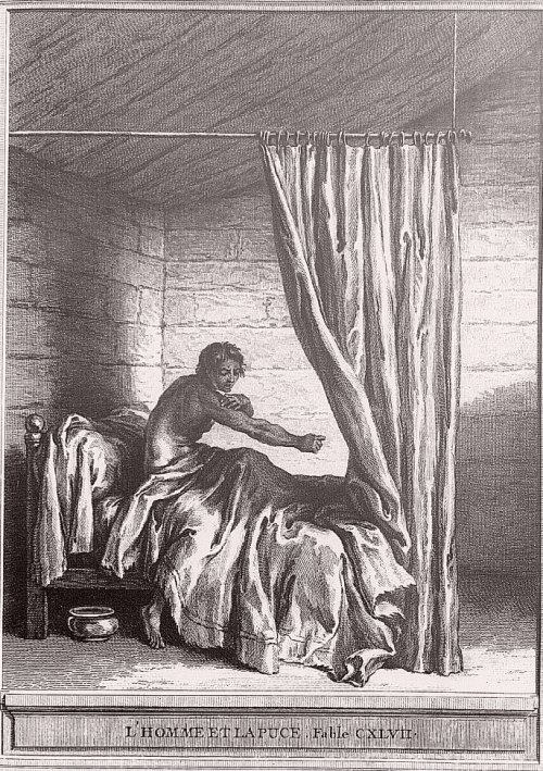 L'Homme et la Puce. Illustration des Fables de La Fontaine, par Jean-Baptiste Oudry