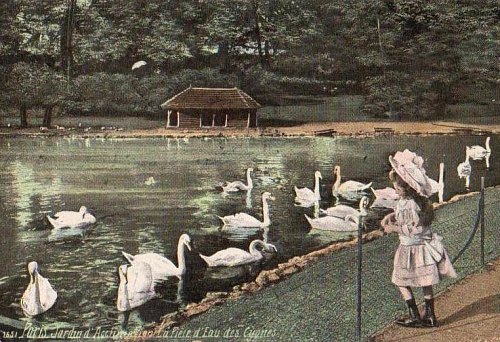 Au Jardin d'Acclimatation : la pièce d'eau des cygnes