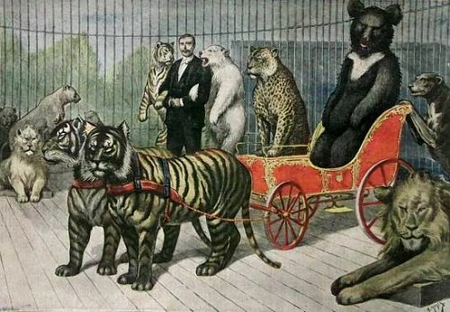 Au Jardin d'Acclimatation : la cage des bêtes féroces (1895)