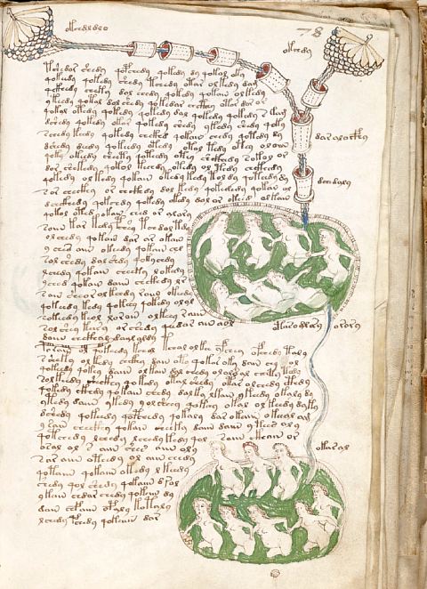 Page du manuscrit de Voynich