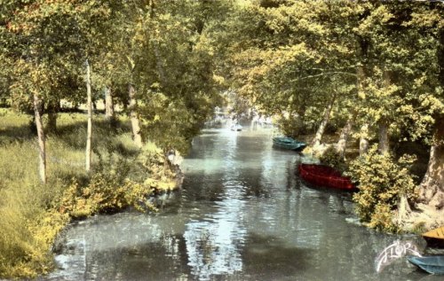 Conche ombragée dans le Marais poitevin