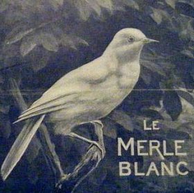 Le merle blanc