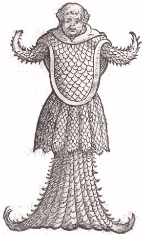 Moine de mer. Gravure de Rondelet