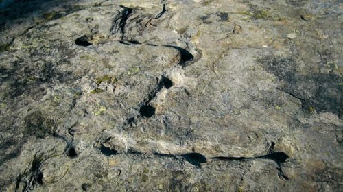 Pierre à cupules