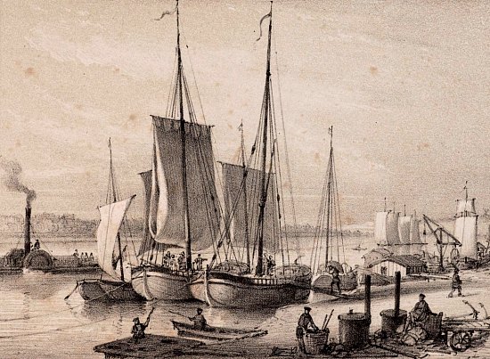 Vue de la Loire et d'Orléans : port de Recouvrance. Estampe de Charles Pensée (1850)